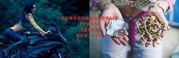 Альфа ПВП Армянск