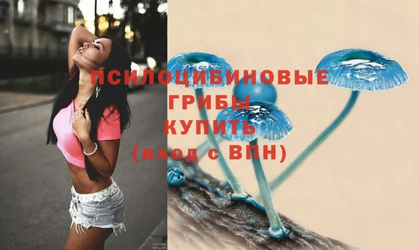 Альфа ПВП Армянск
