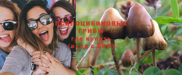 дурь Аркадак