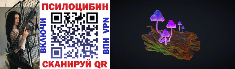 Галлюциногенные грибы Psilocybe Суоярви