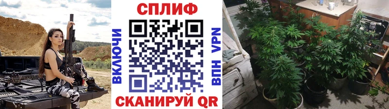 блэк спрут как войти  Суоярви  Каннабис White Widow  как найти наркотики 